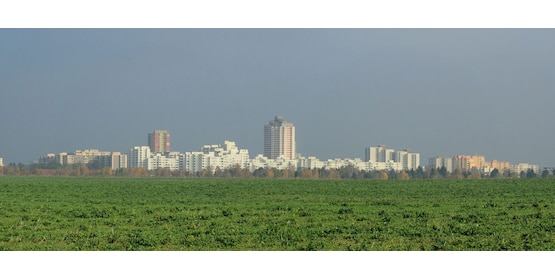 Un moment de pure détente dans le jardin botanique de Berlin